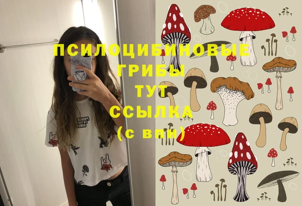 прущие грибы Алексеевка
