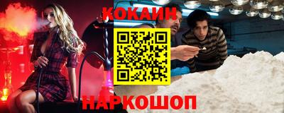 шишки Камышлов