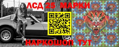 крисы Кандалакша