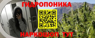 прущие грибы Бузулук