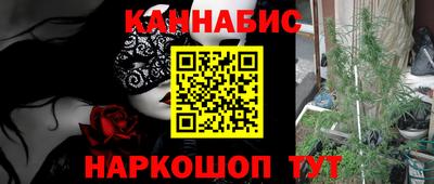 крисы Кандалакша