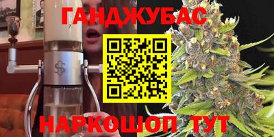 шишки Камышлов