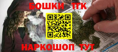 шишки Камышлов