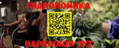 шишки Камышлов