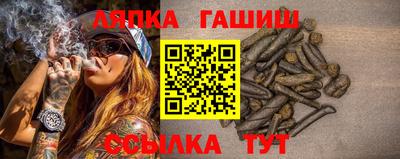 шишки Камышлов