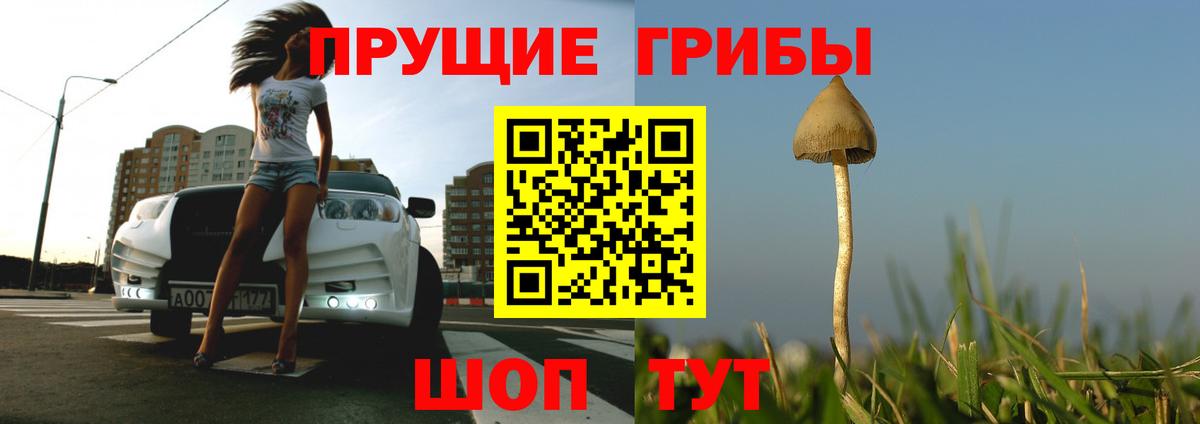 Волгодонск  Галлюциногенные грибы Psilocybine cubensis  Вход с VPN 